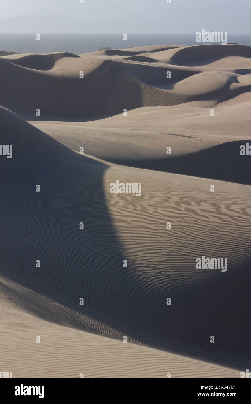 Oceano Sand Dunes Stock Photo Alamy