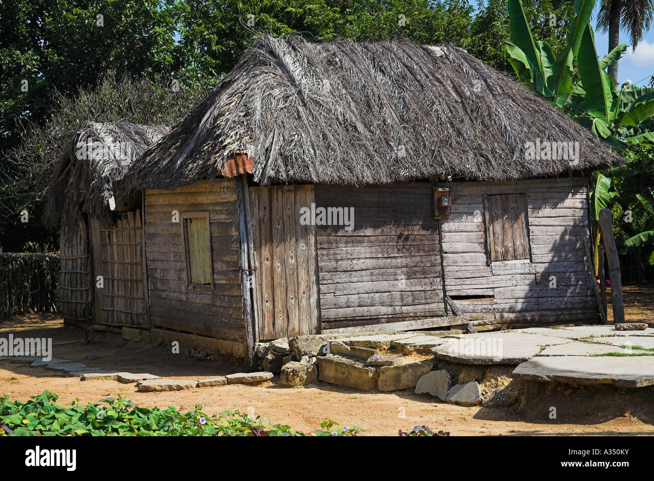 House constructed from wood with a palm tree leaf roof, Camera Village, near Santiago de Cuba, Cuba Stock Photo