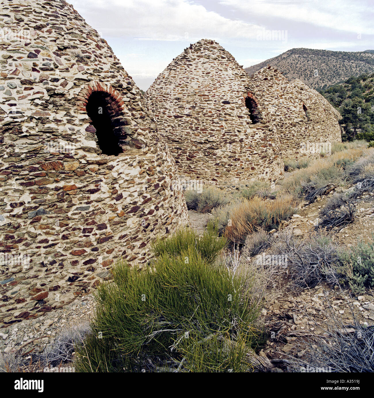 USA California Nevada Death Valley National Park Wildrose charcoal
