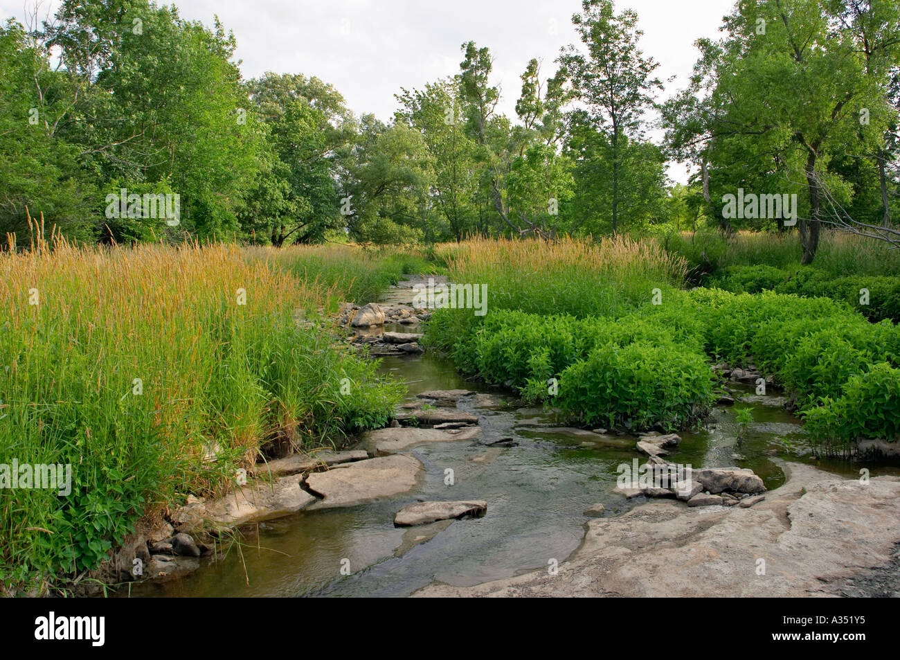 Niagara Escarpment, Ontario, Canada. Ball's Falls, part of Bruce Trail