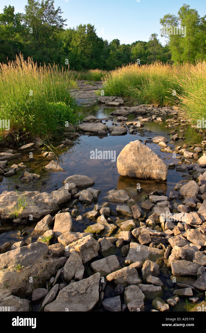 Niagara Escarpment, Ontario, Canada. Ball's Falls, part of Bruce Trail