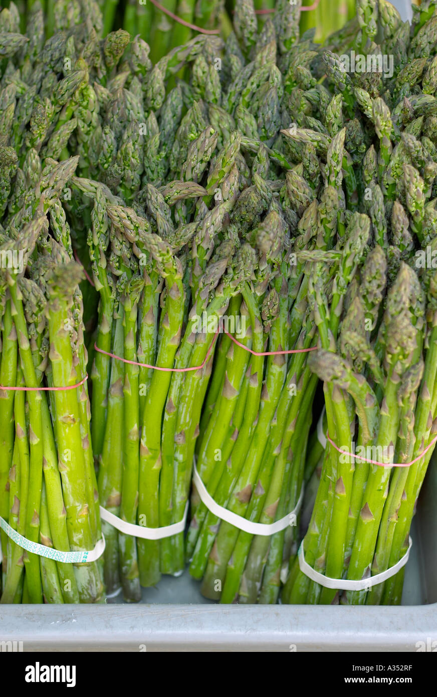 Mature fresh mustard green asparagus bunches at the supermarket. Stock Photo