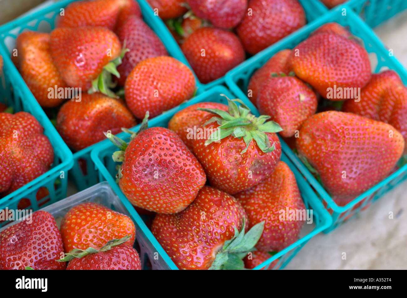 Fresh strawberries in plastic baskets, close-up at the market. Stock Photo