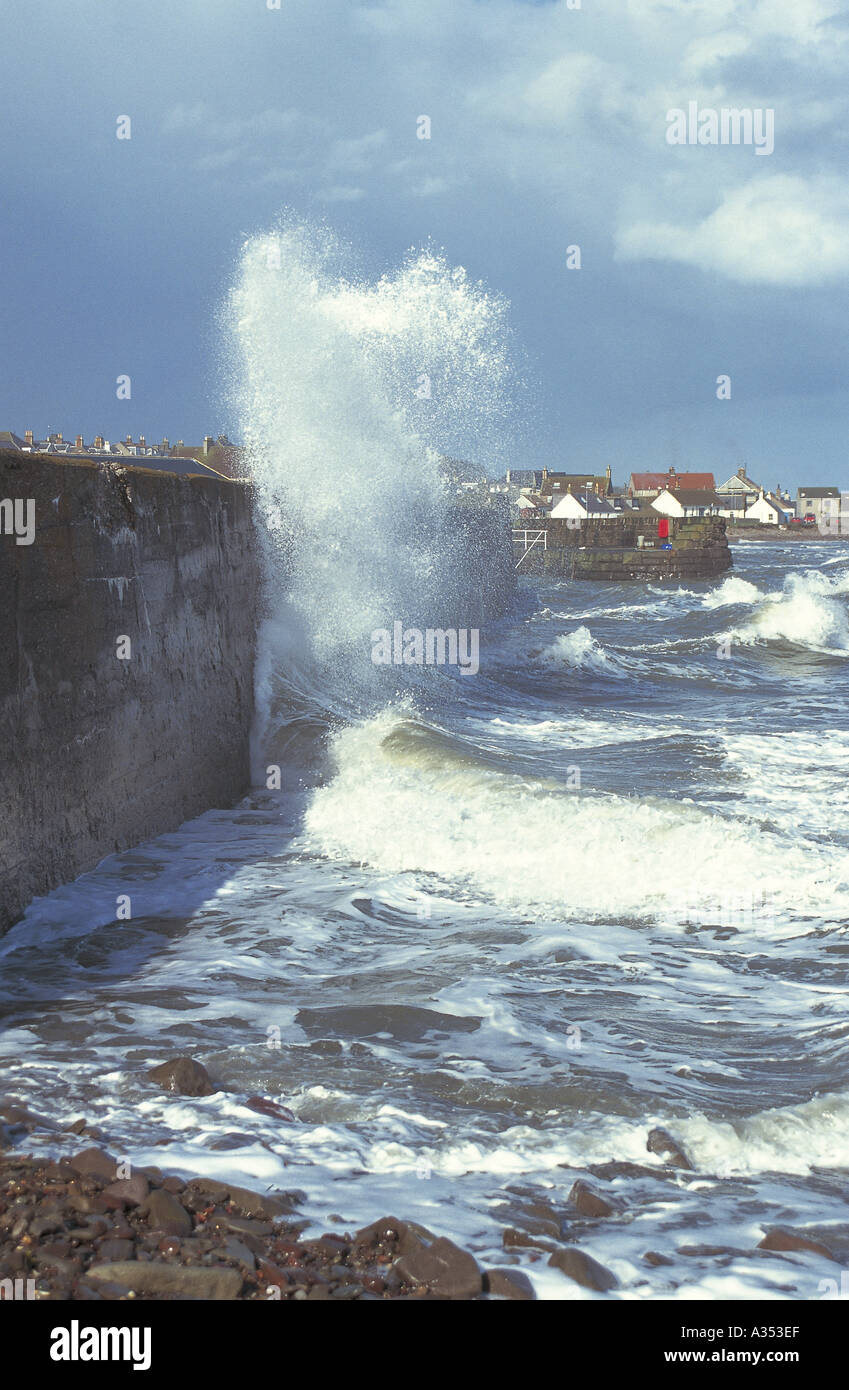 Johnshaven Scotland Stock Photos & Johnshaven Scotland Stock Images Alamy