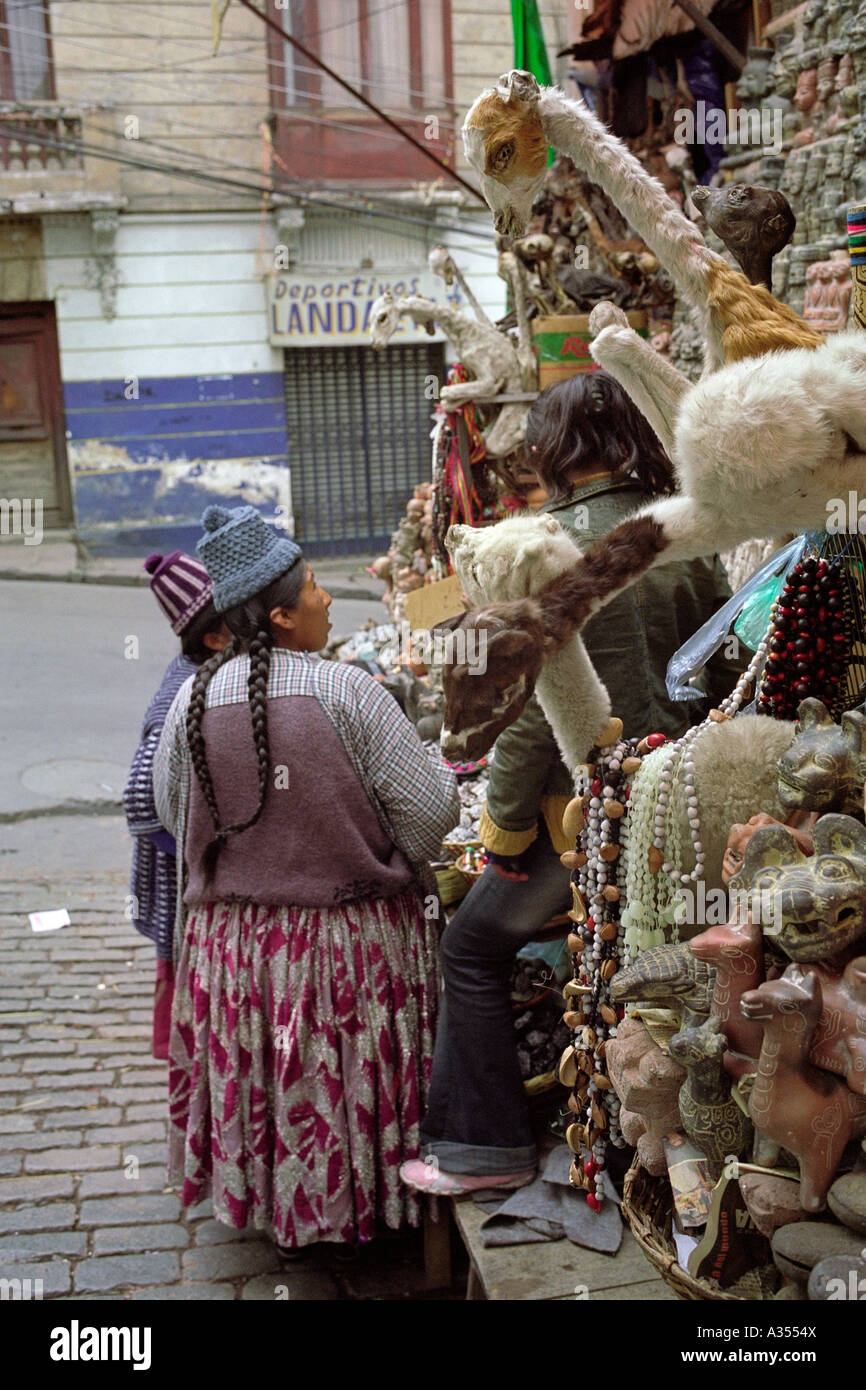 Dried llama fetuses at the Aymara Witches Market in La Paz, Bolivia, South America. Stock Photo