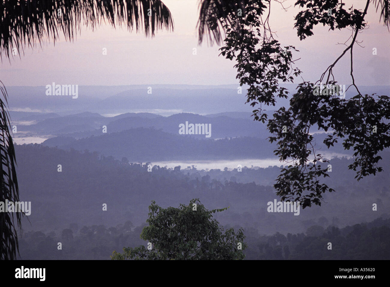 Para State Brazil Stunning earle morning view over misty rainforest at dawn Amazon Stock Photo
