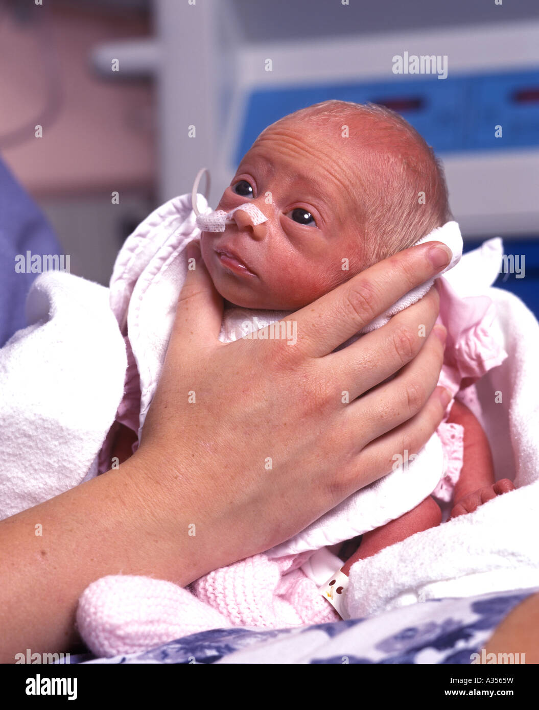 Nurse holding a premature baby Stock Photo Alamy