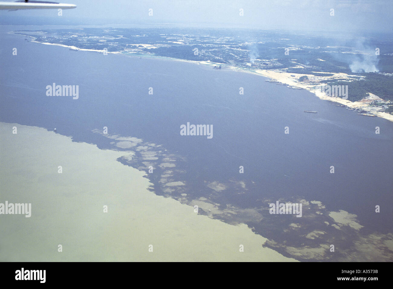 Amazon River Stock Photo