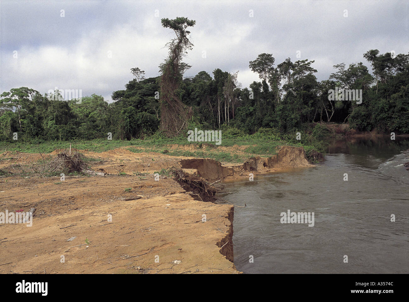 A Ukre Xingu Para State Amazon Brazil lifeless sandy river banks being eroded following deforestation Stock Photo