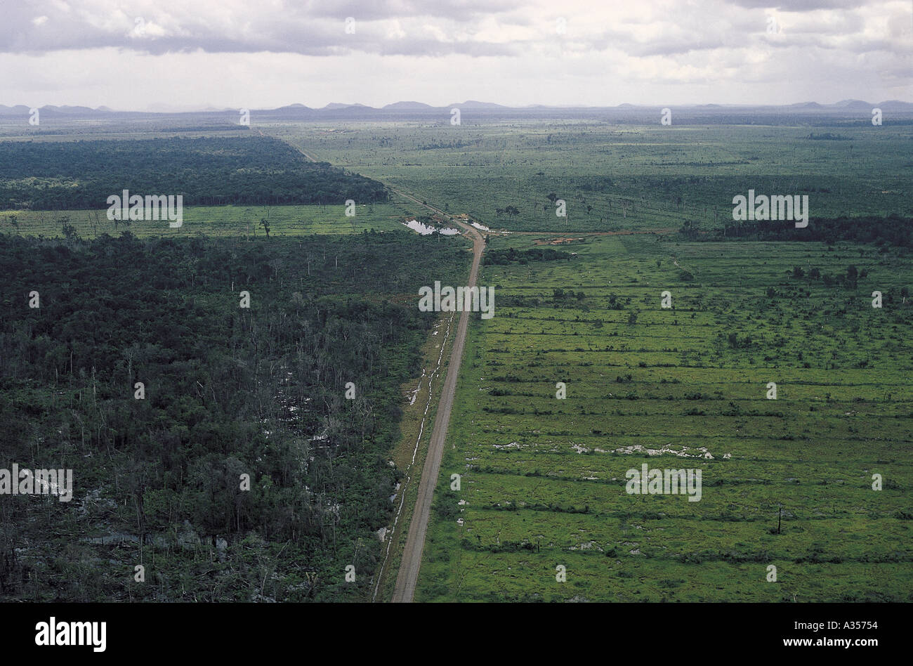 Amazon Brazil Aerial view of straight roads separating newly deforested areas and degraded rain forest Stock Photo