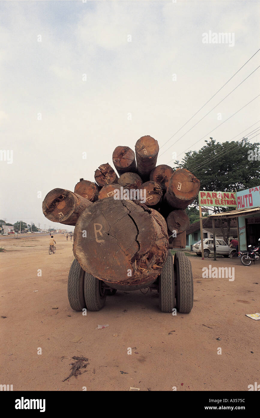 Para State Brazil Felled tree trunks being transported on a truck Parana Auto Electrica beside the road Stock Photo