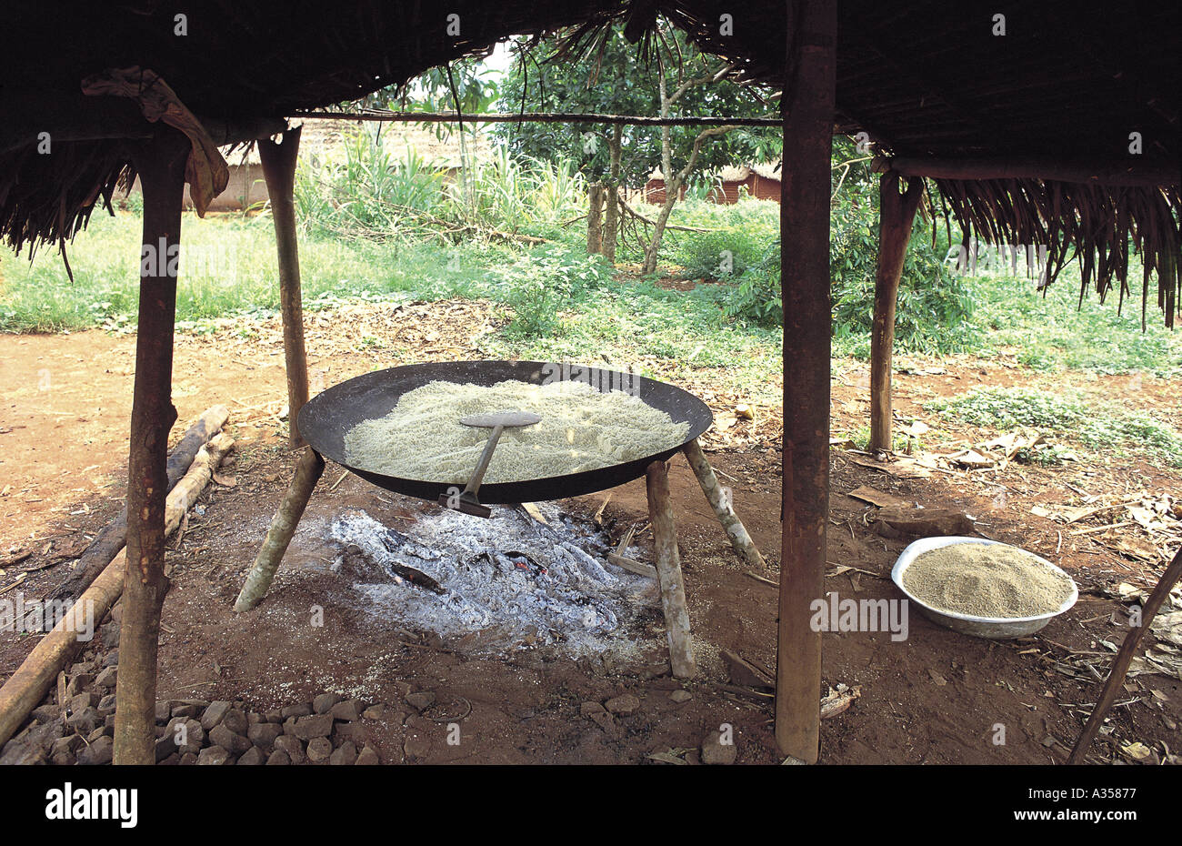 A Ukre village Brazil Large pan of manioc mandioca cassava Manihot esculenta roasting over an open fire Xingu Indig Pk Stock Photo