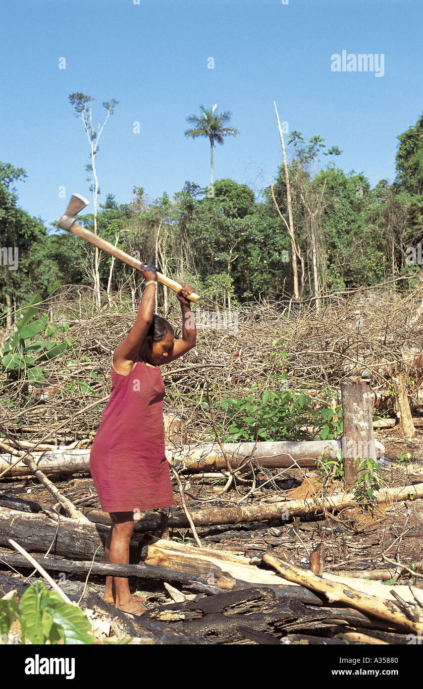 A Ukre Village Brazil Kayapo woman chopping wood in the fields using an axe Xingu park Stock Photo