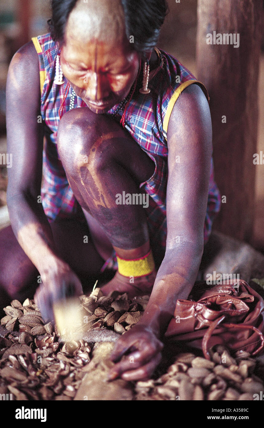 A Ukre village Xingu Brazil Kayapo woman with black body paint crushing Brazil nuts Stock Photo