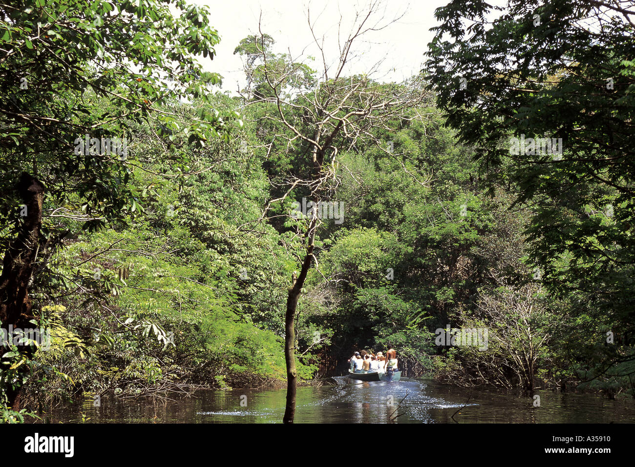 Rio Negro Brazil Open boat full of tourists sightseeing amongst the trees Anavilhanas archipelago Amazonas State Stock Photo