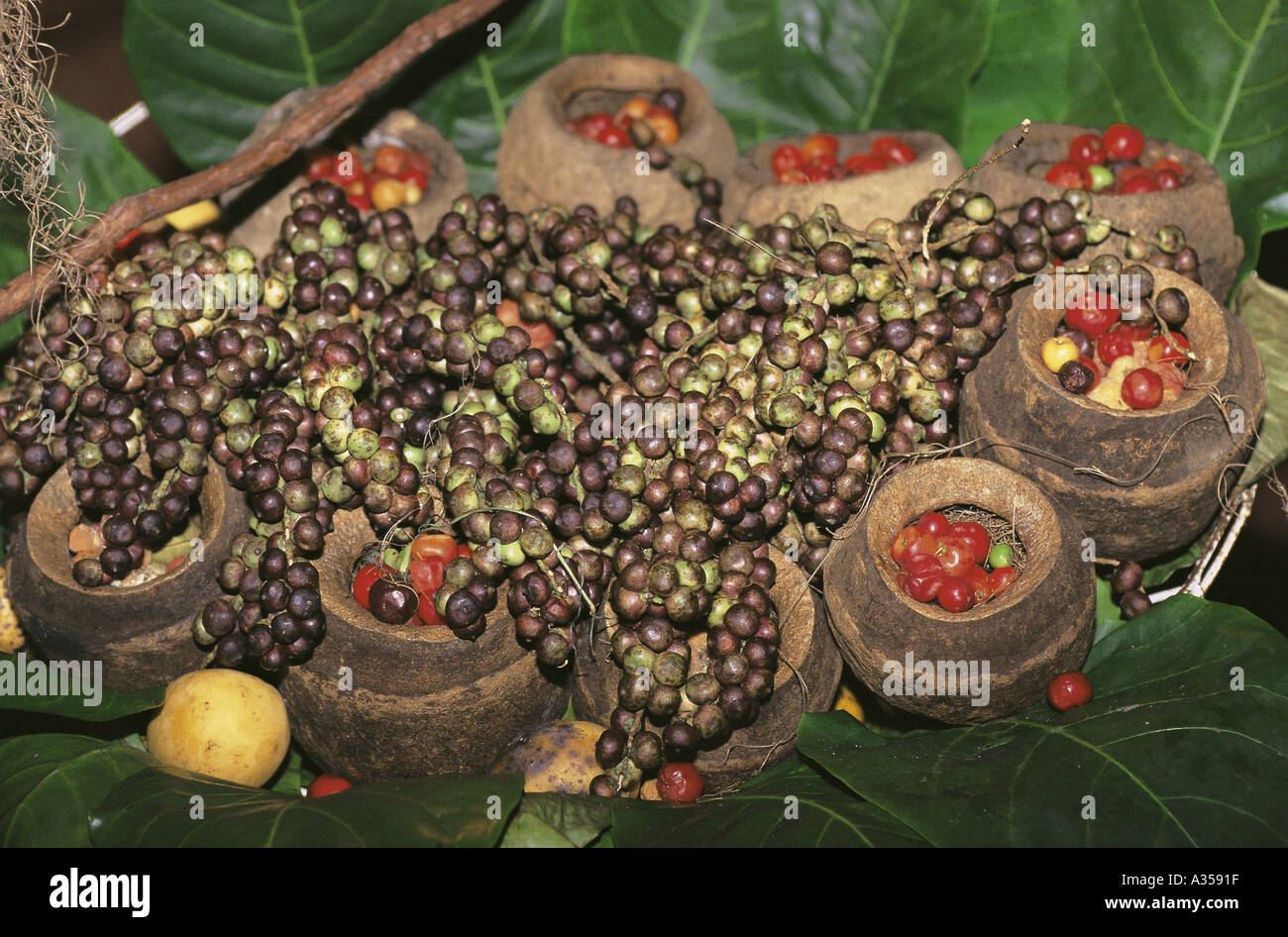 Brazil Display of palm fruit in small rustic pottery dishes Stock Photo