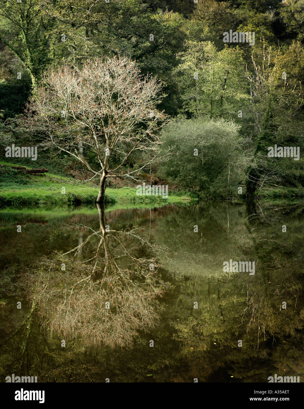 River Blavet near Hennbont Brittany France Stock Photo Alamy