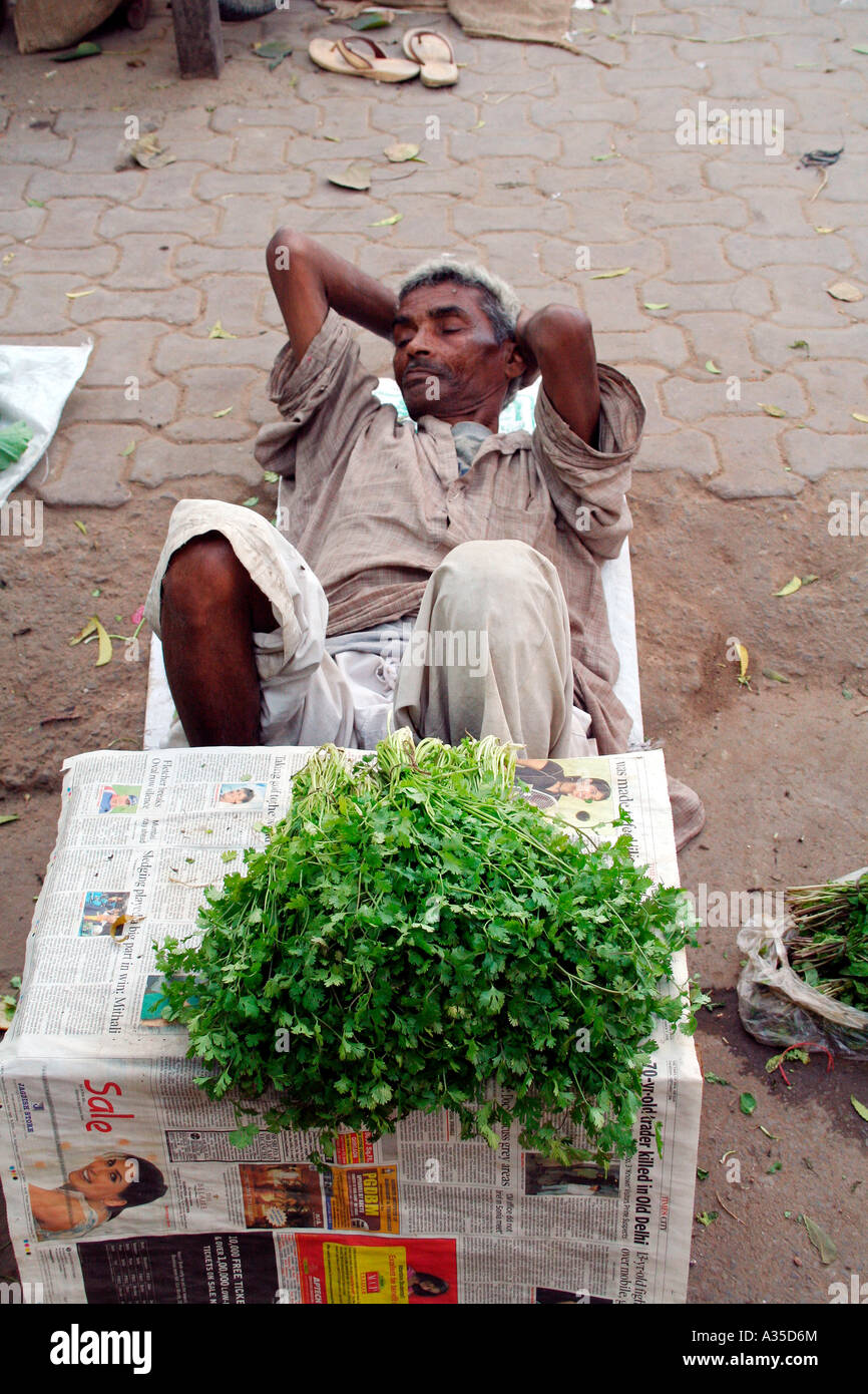 Old man selling mint leaves at a market in New Delhi. Winter 2007. Stock Photo