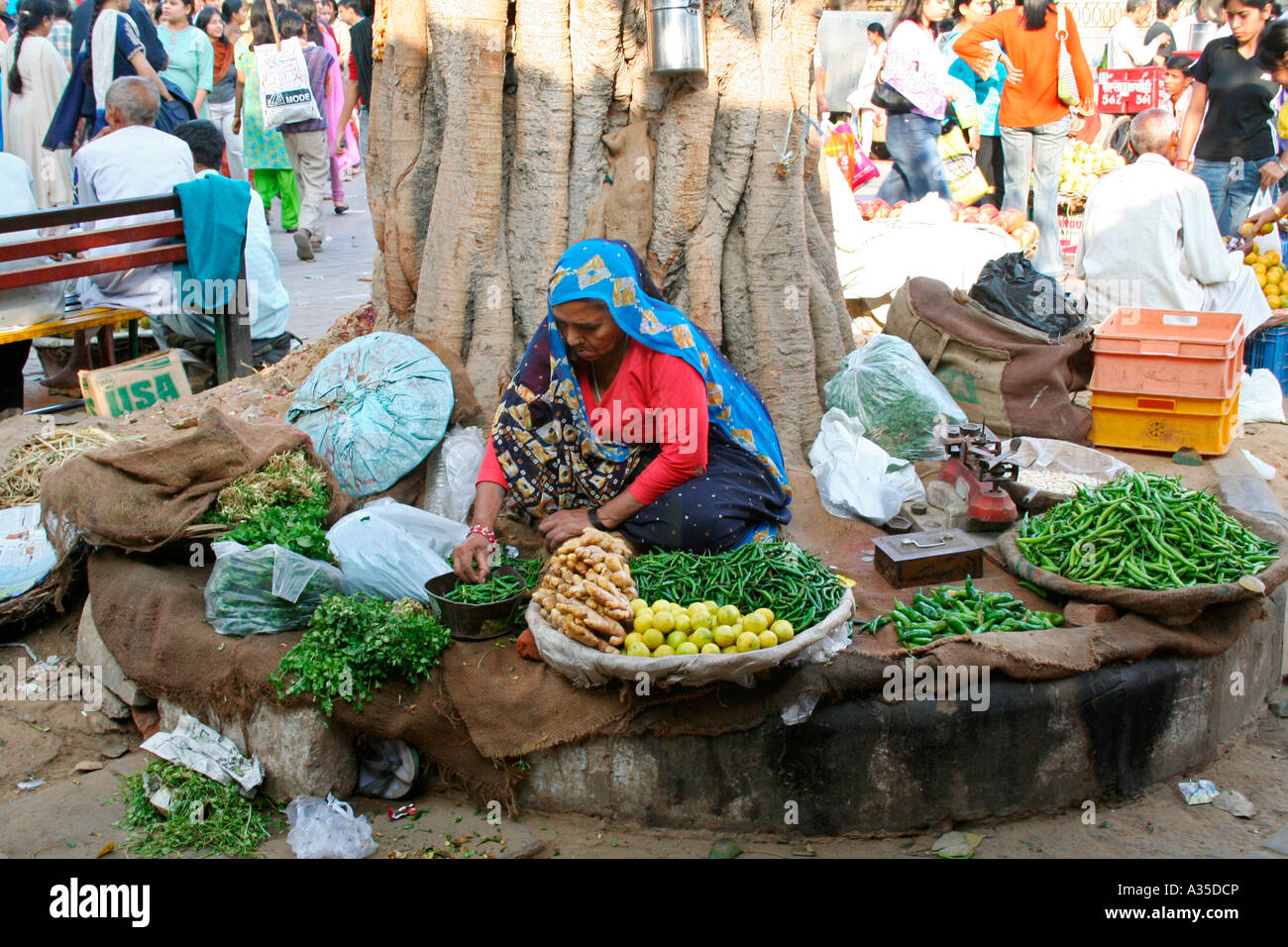 Old woman selling vegetables at a busy market in New Delhi. Winter 2007. Stock Photo