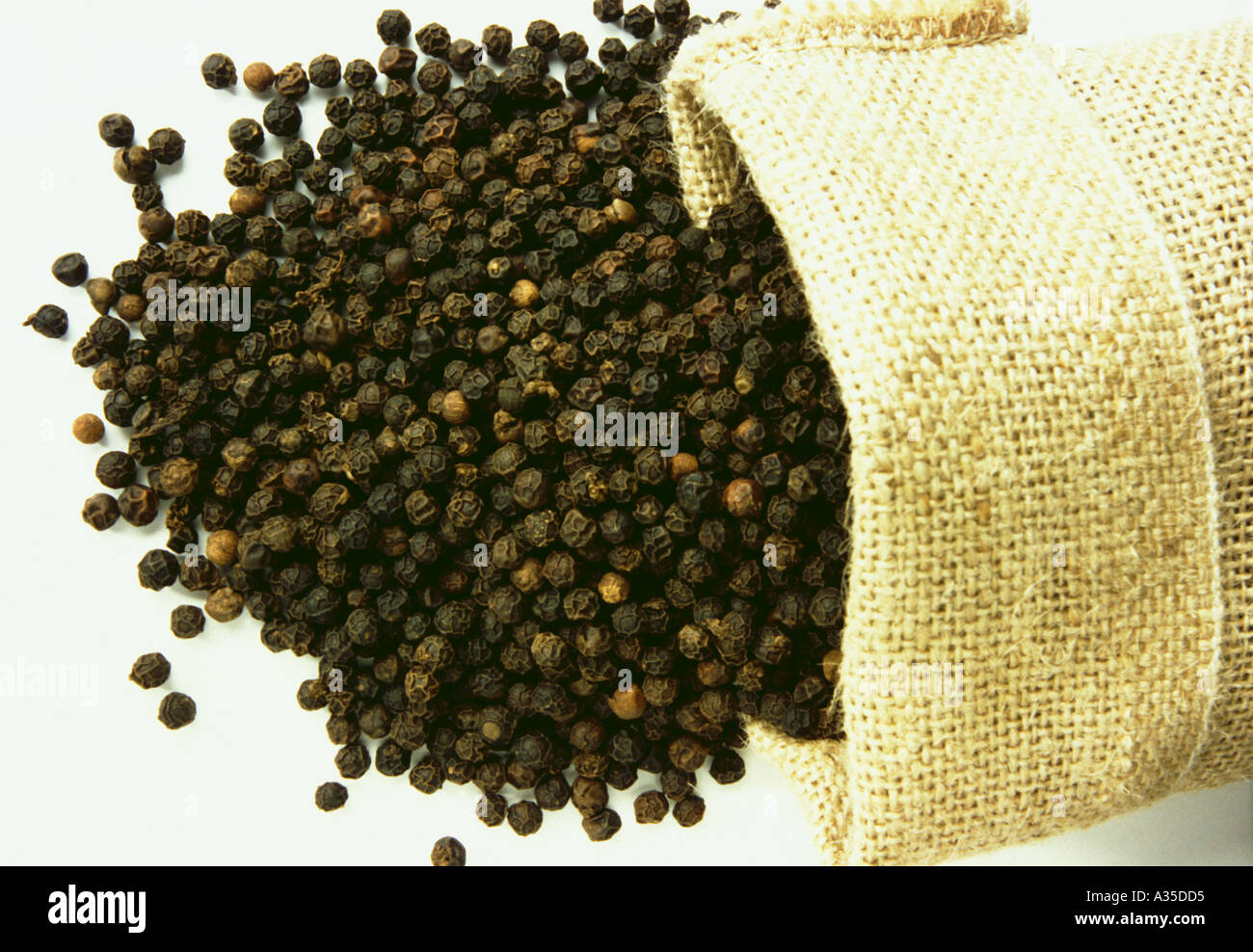 Black Pepper Corns Stock Photo Alamy