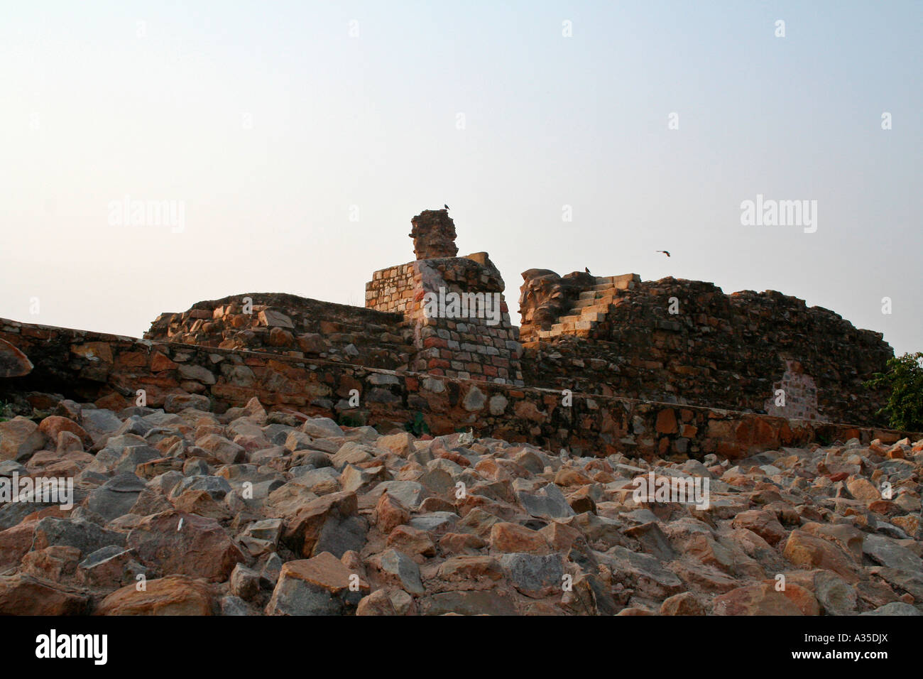 Ruins of a fort near Qutb Minar, New Delhi Stock Photo
