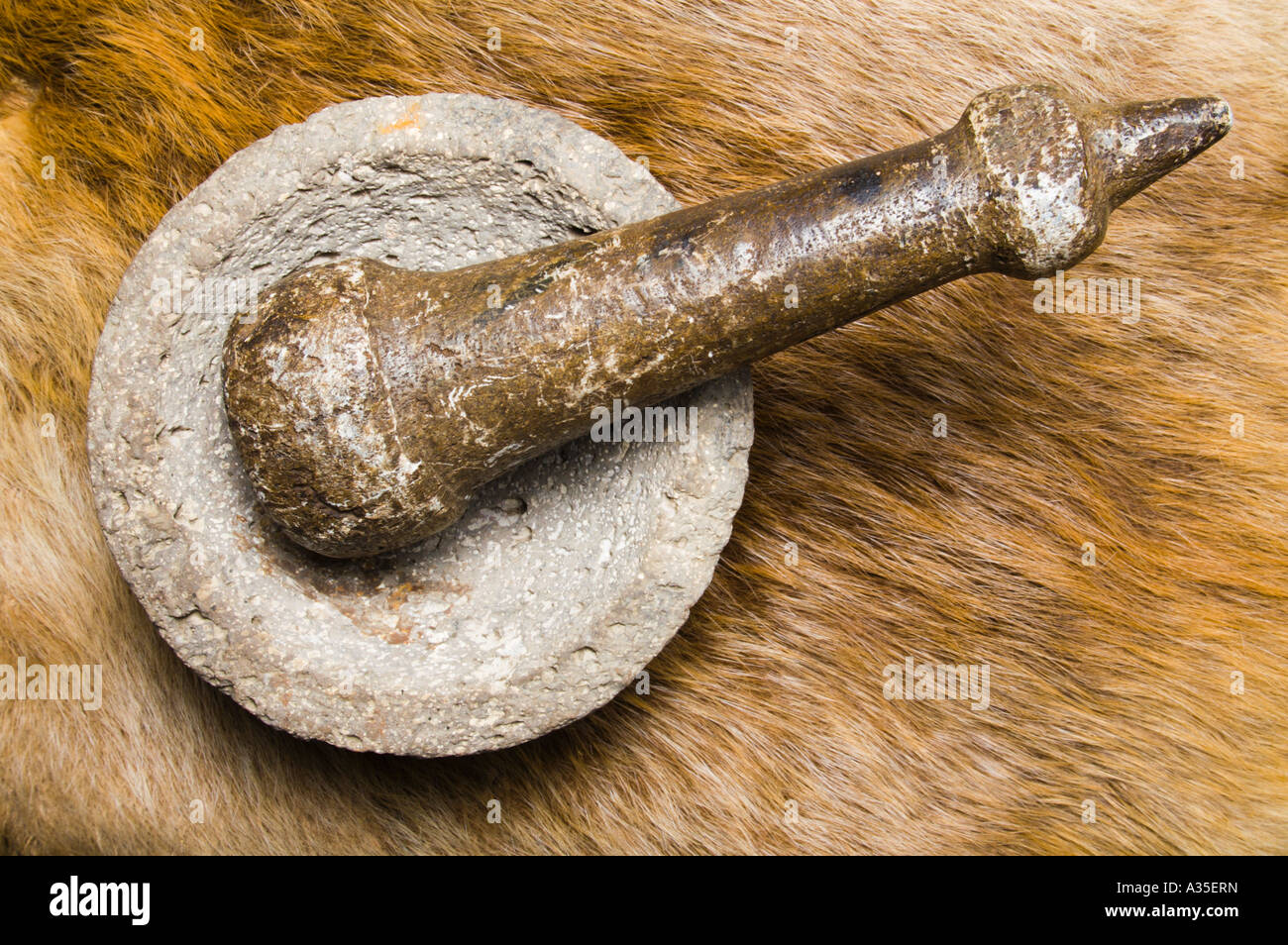 pacific northwest native american mortar and pestle Stock Photo