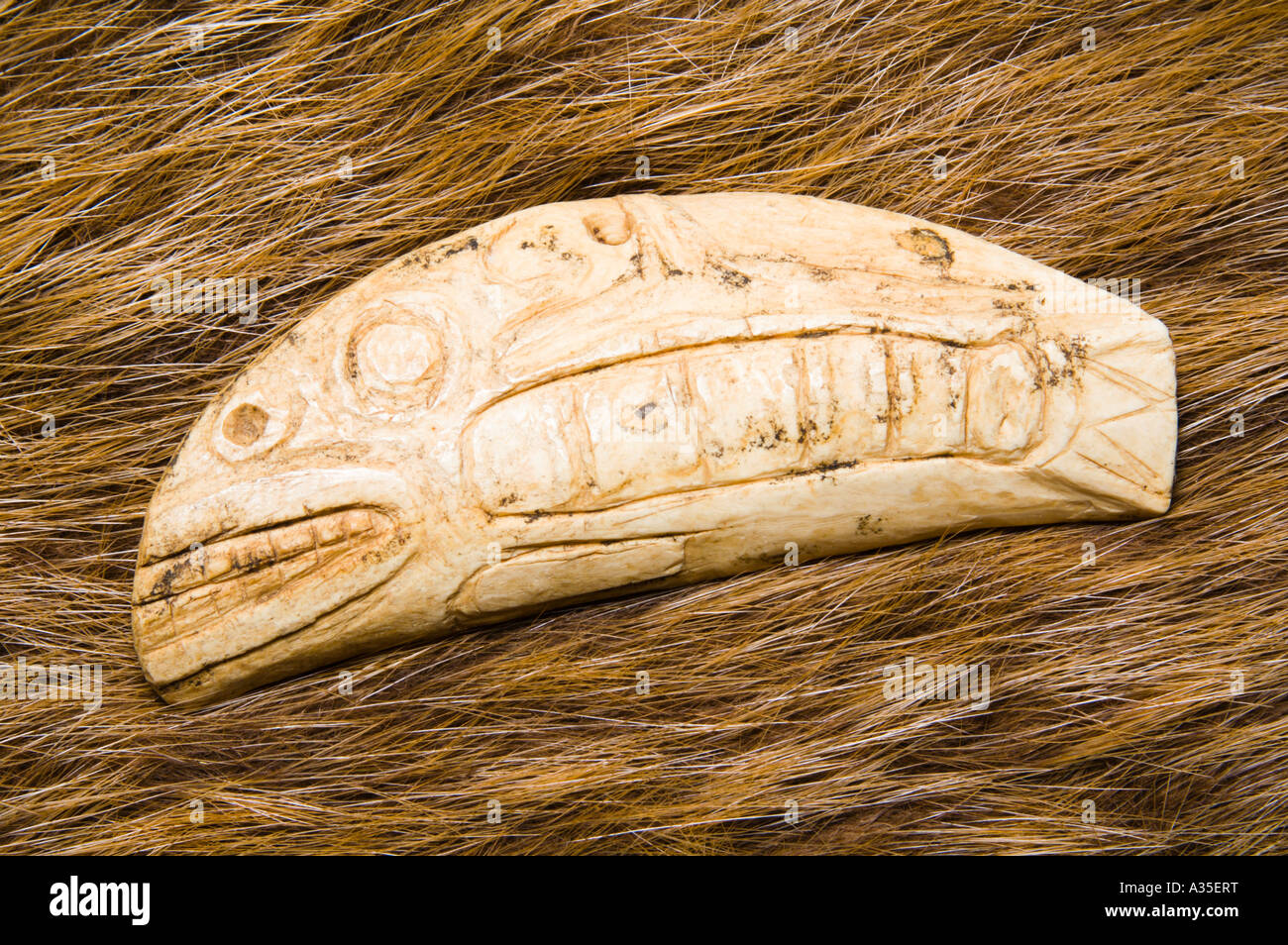 pacific northwest native american carved bone fish Stock Photo