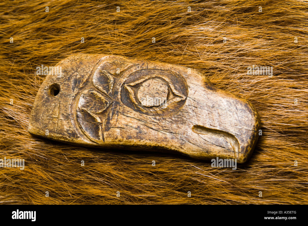 pacific northwest native american carved bone eagle head Stock Photo