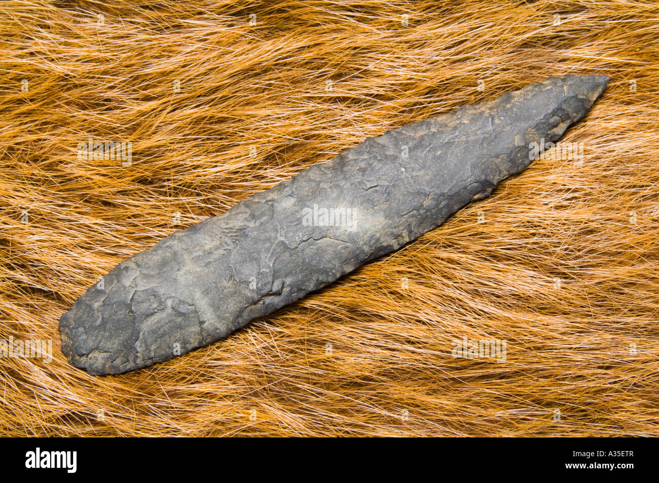 pacific northwest native american stone spear point Stock Photo
