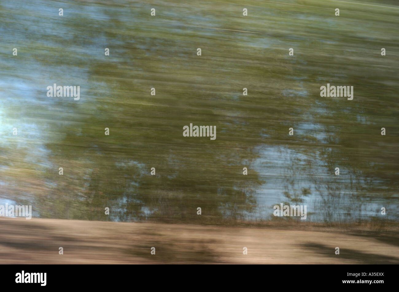 Bush trough the car window outside Darwin in Australia Stock Photo Alamy