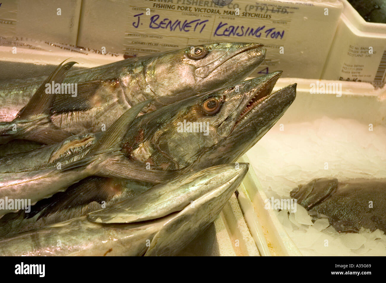 Scene from the Billingsgate Fish Market at Canary Wharf in London Stock