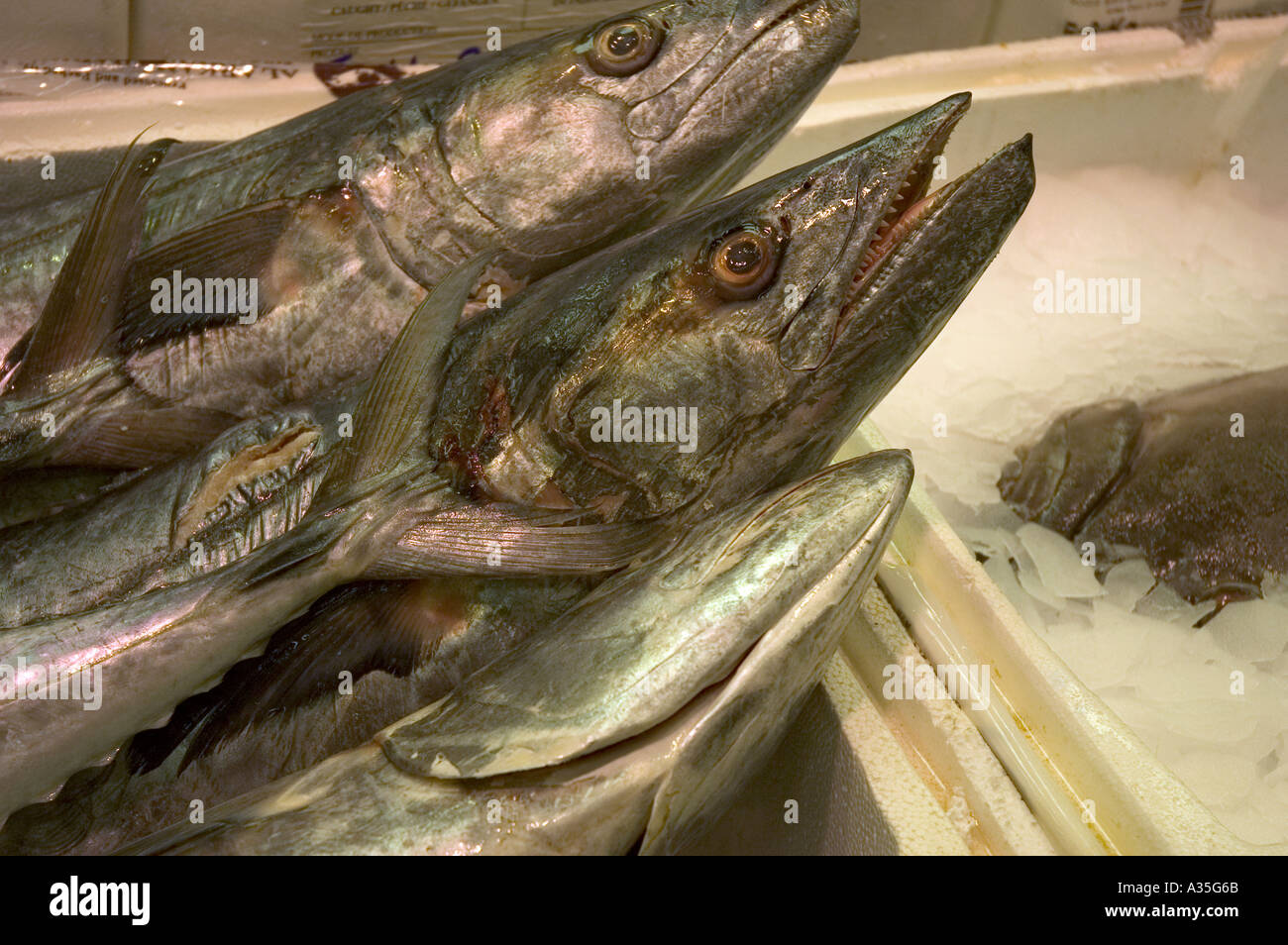 The Billingsgate Fish Market at Canary Wharf in London Stock Photo Alamy