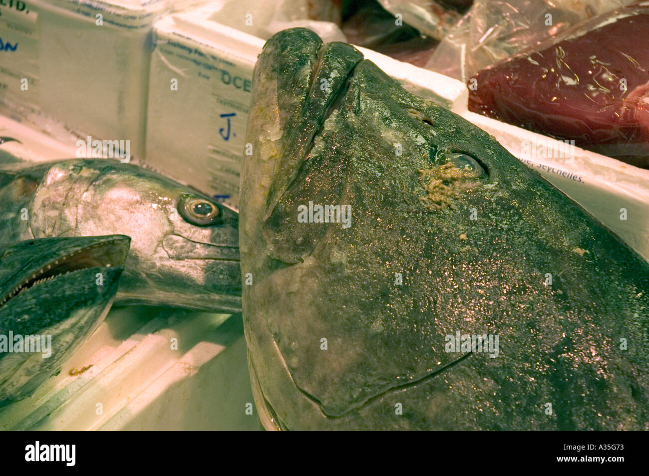 Photo from the Billingsgate Fish Market at Canary Wharf in London Stock