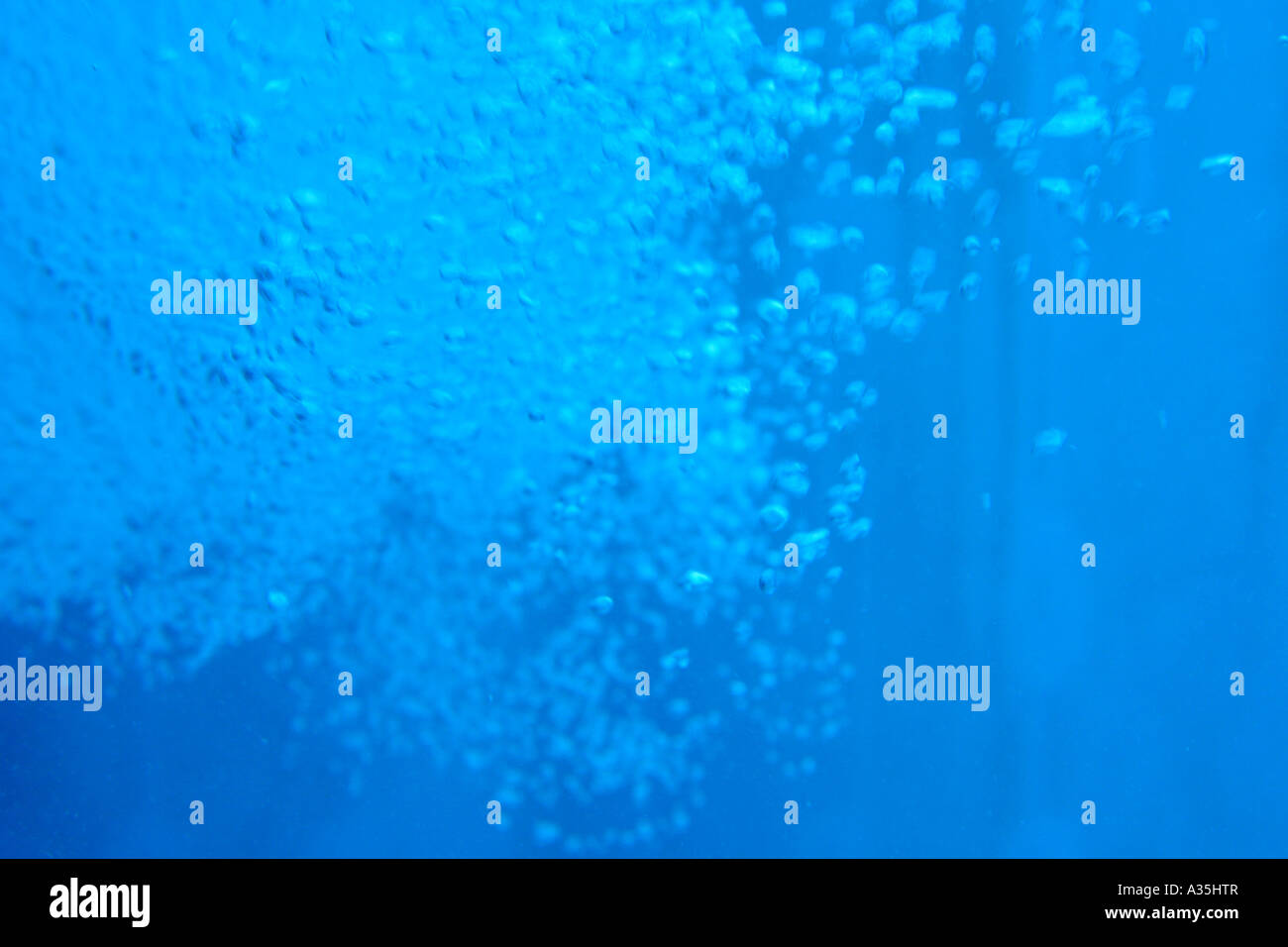 closeup of boiling water bubbles Stock Photo Alamy