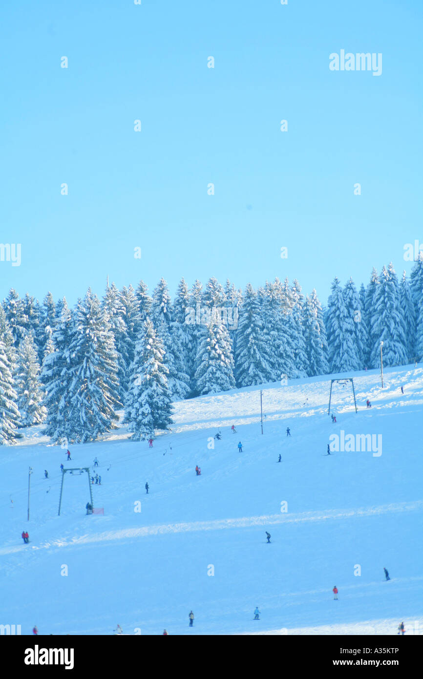 skiing in a nice wintermood Stock Photo