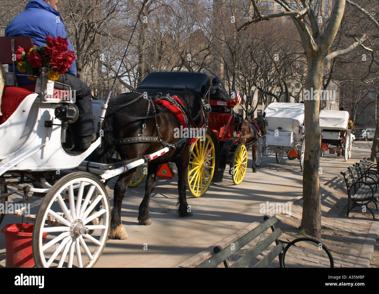 New york city central park carriages hi-res stock photography and images -  Alamy