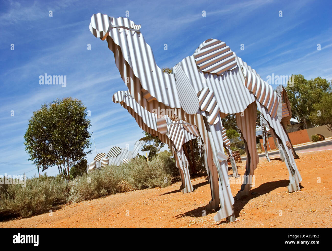 Camel sculptures made from tin on roundabout at Norseman town on road
