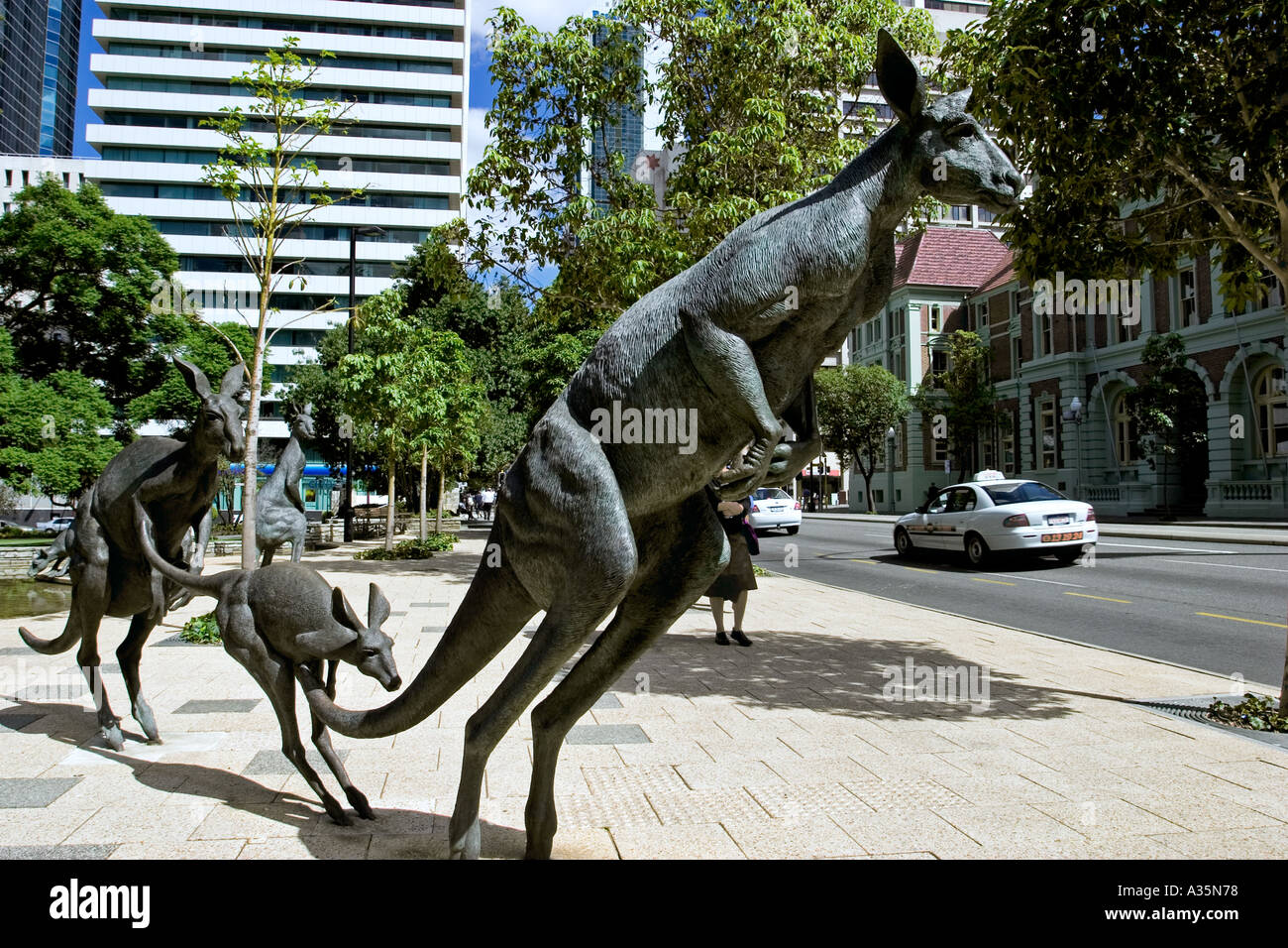Bronze Kangaroo statues in Perth city centre Western Australia Stock