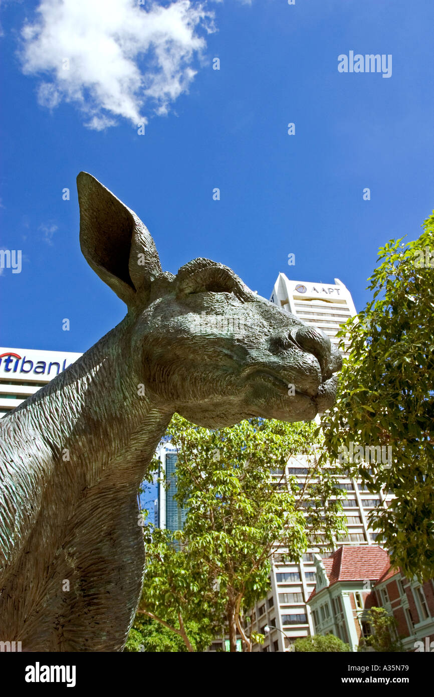 Head of bronze Kangaroo statue in Perth city centre Western Australia
