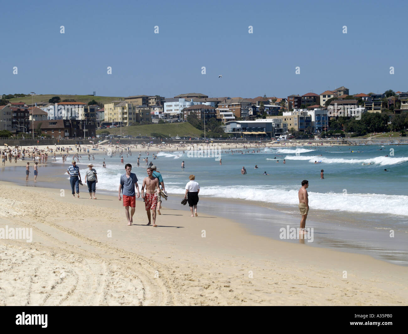 bathers near me
