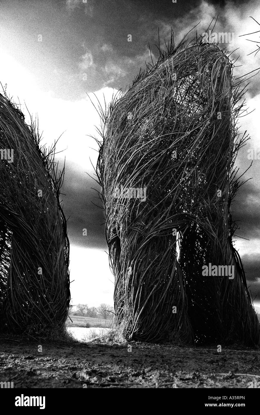 The Big Willow basketry sculpture by Patrick Dougherty at Brahan Estate