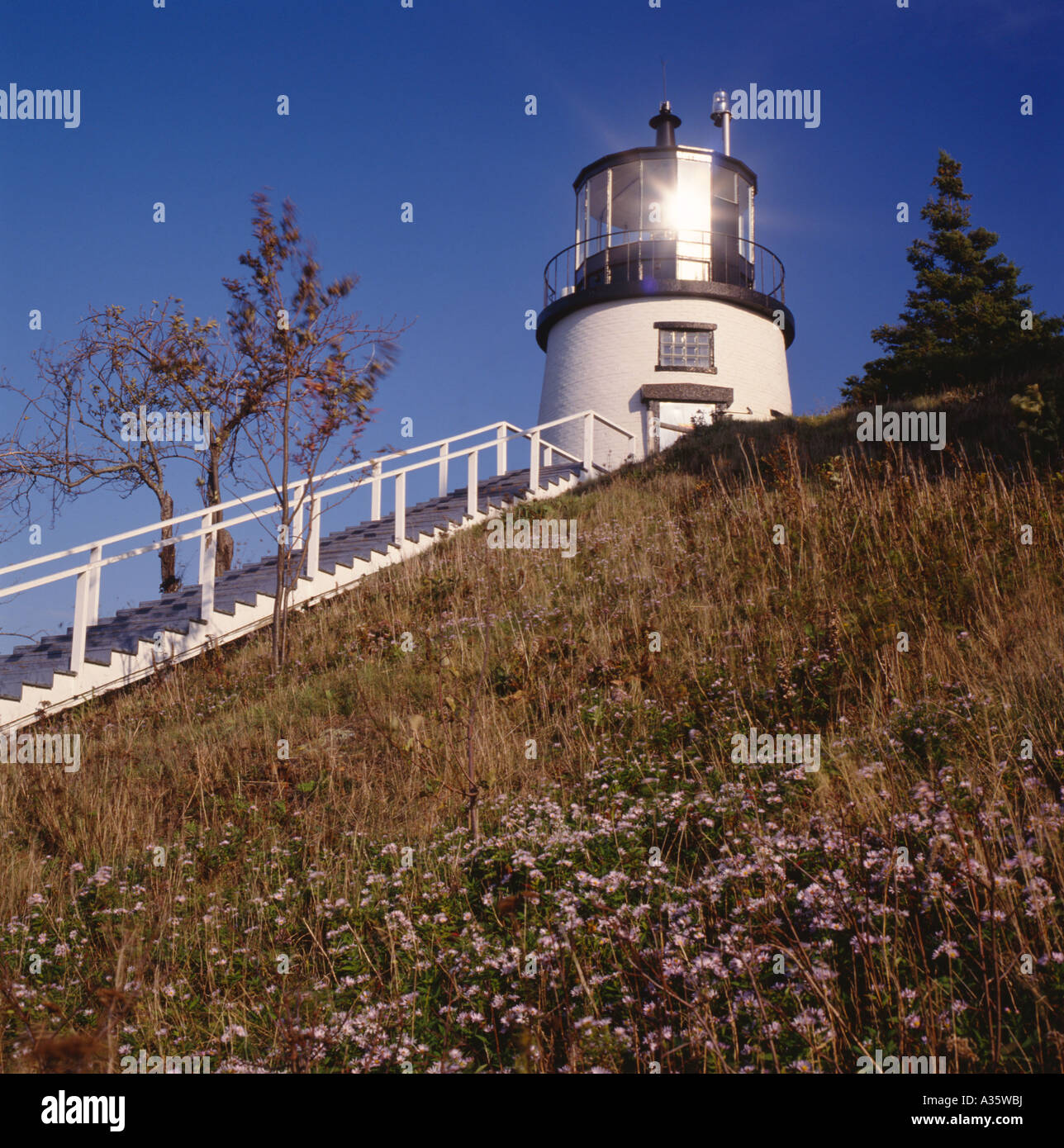 Owls Head Light, Maine Stock Photo Alamy