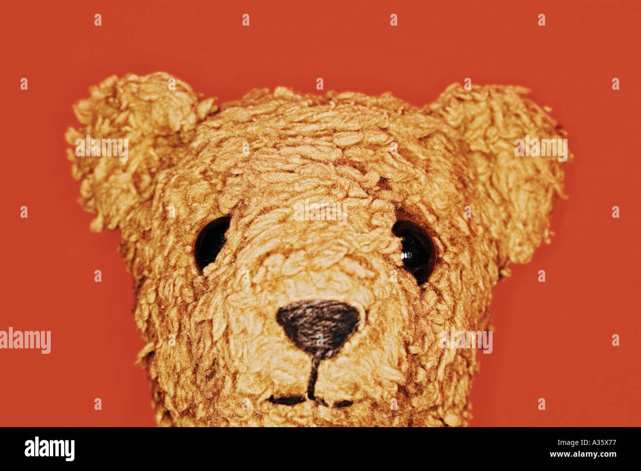 Teddy Bear Looking Into Camera Stock Photo Alamy