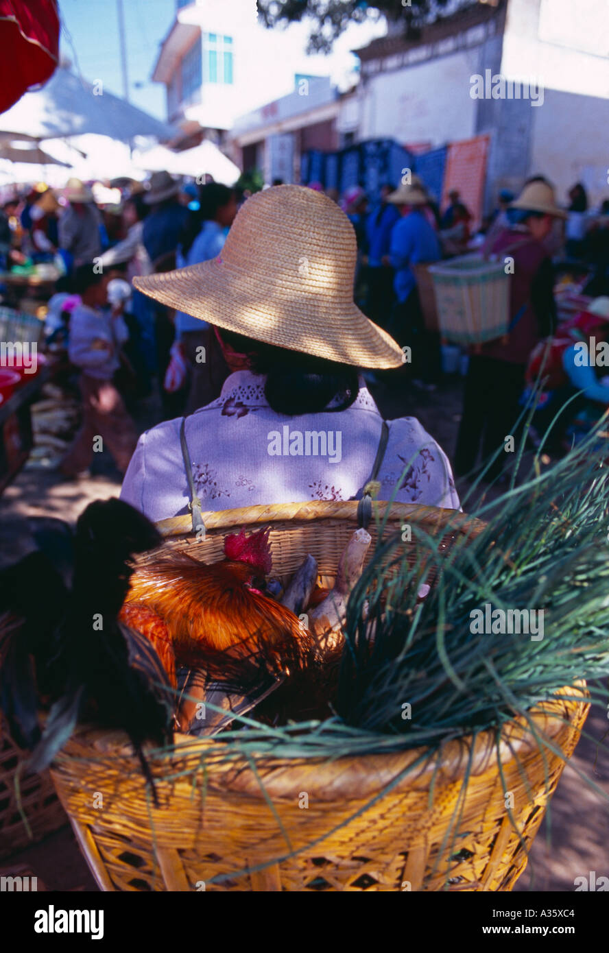 live chicken in womans shopping basket at market Wase Yunnan Province China Stock Photo