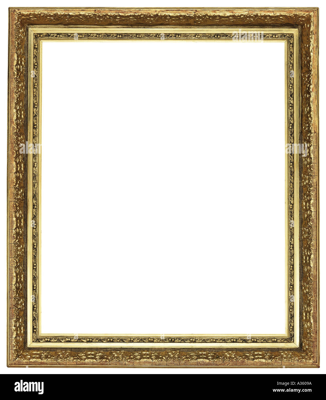 A vertical gold gilded rectangular decorative ornate thin antique frame ...