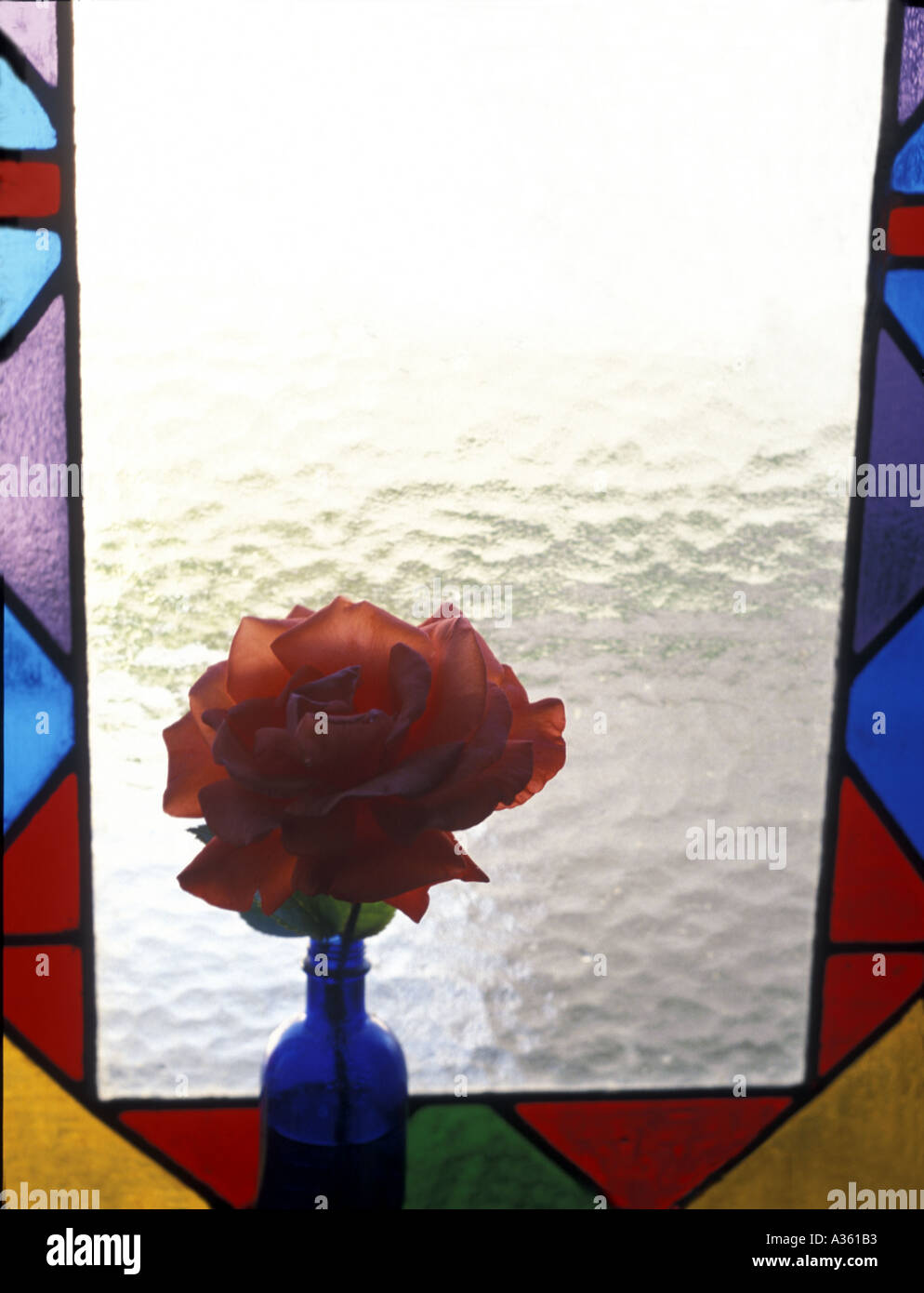 window display rose in a vase Stock Photo - Alamy