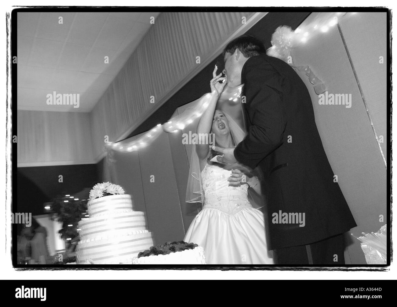 Bride feeds the groom wedding cake Stock Photo