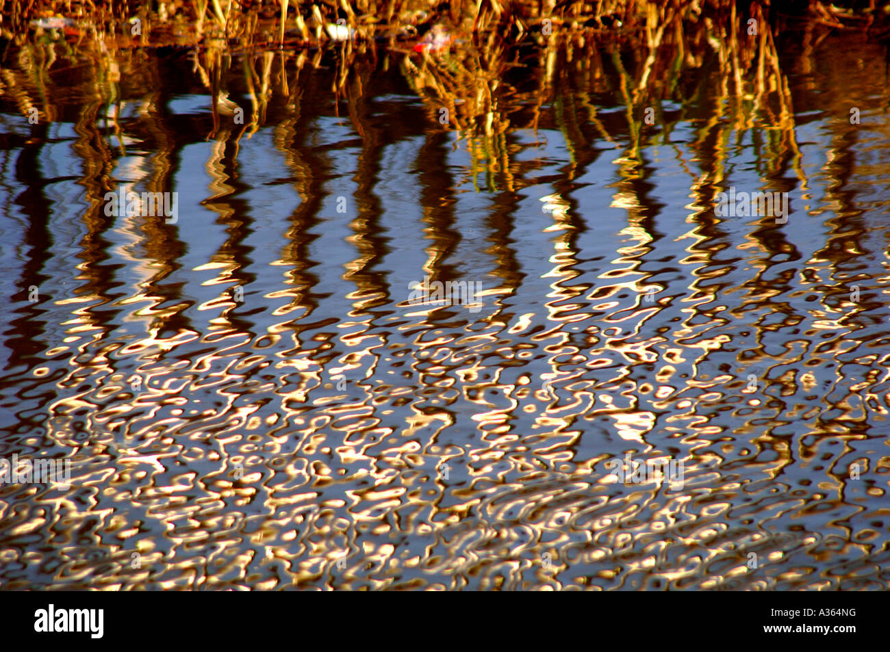 Abstract Water Reflections In The Cauldon Canal Stock Photo - Alamy