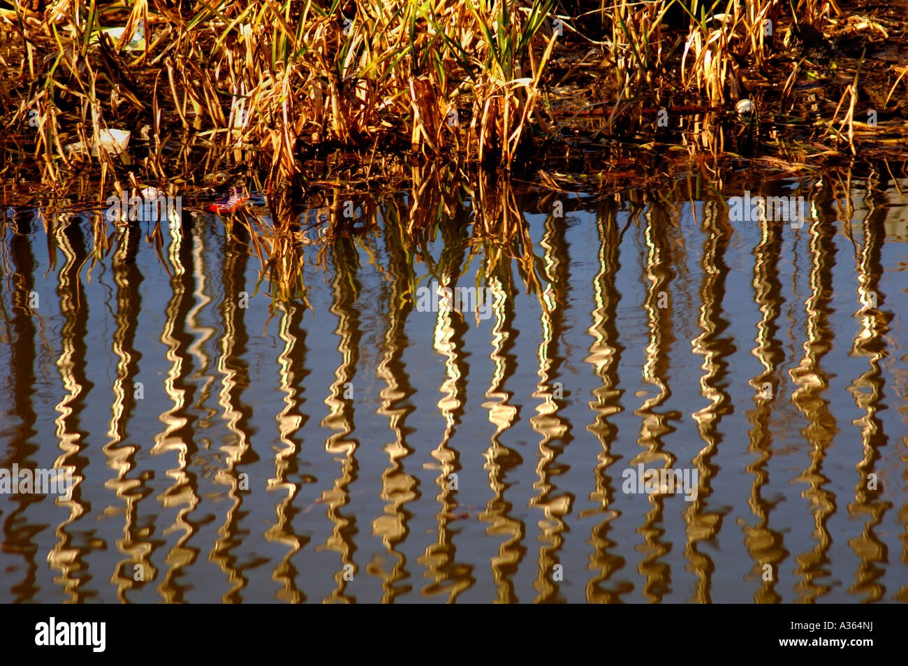 Abstract Water Reflections In The Cauldon Canal Stock Photo - Alamy
