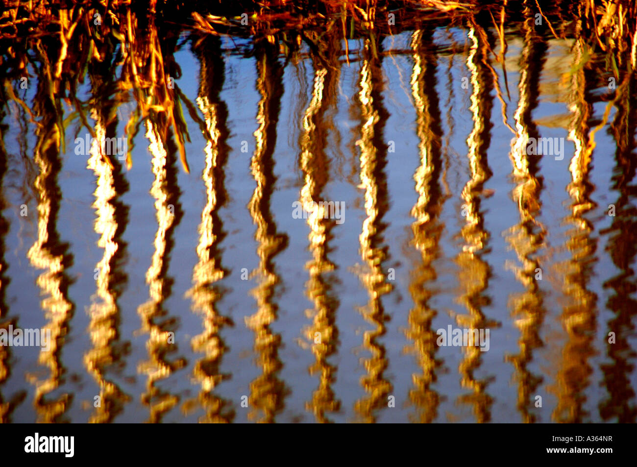 Abstract Water Reflections In The Cauldon Canal Stock Photo - Alamy